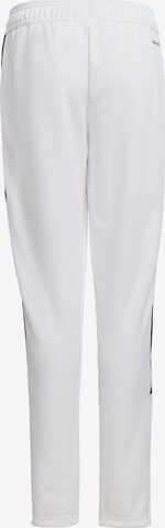 ADIDAS PERFORMANCE Slimfit Sportbroek 'Trio 21' in Wit