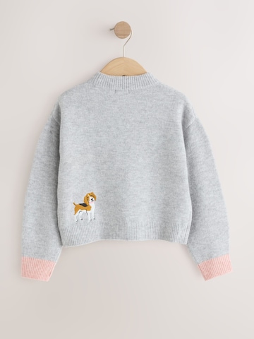 Next Sweater in Grey