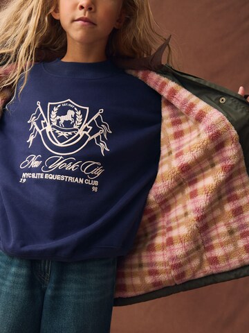 Next Übergangsjacke in Grün