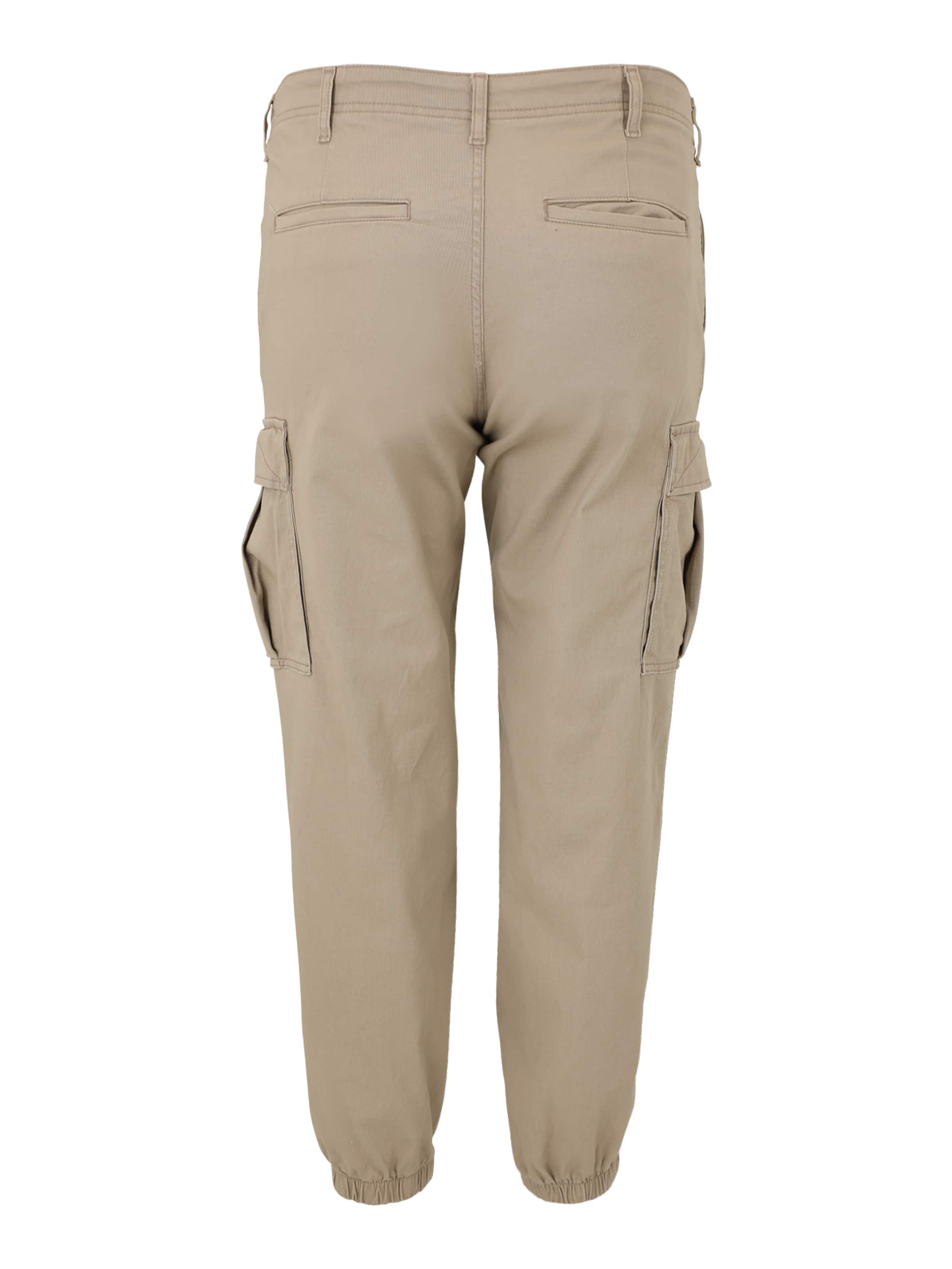 Jack & Jones Plus Обычный Брюки-карго 'JPSTKANE JJJONNIE' в Бежевый