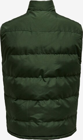 Gilet 'Jake' di Only & Sons in verde