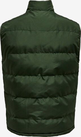 Only & Sons Vest 'Jake' in Green