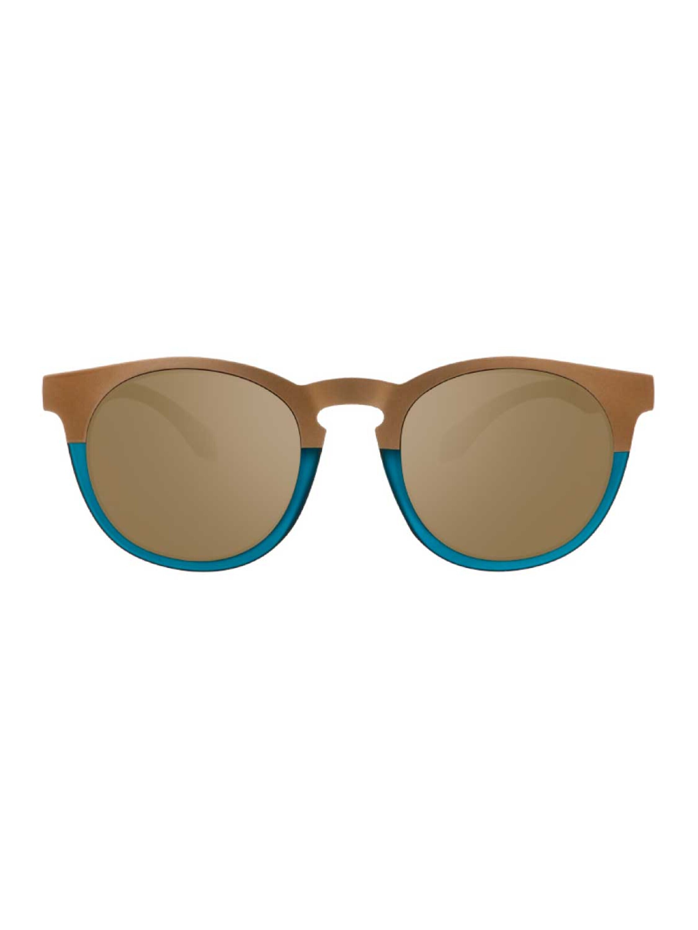 Alsteca Sonnenbrille 'Wynwood C73' in Braun: Vorderseite