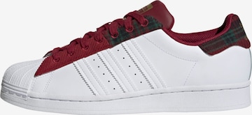ADIDAS ORIGINALS Sneaker 'Superstar' in Rot: front