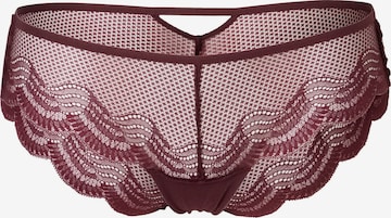 Slip di TRIUMPH in rosso: frontale