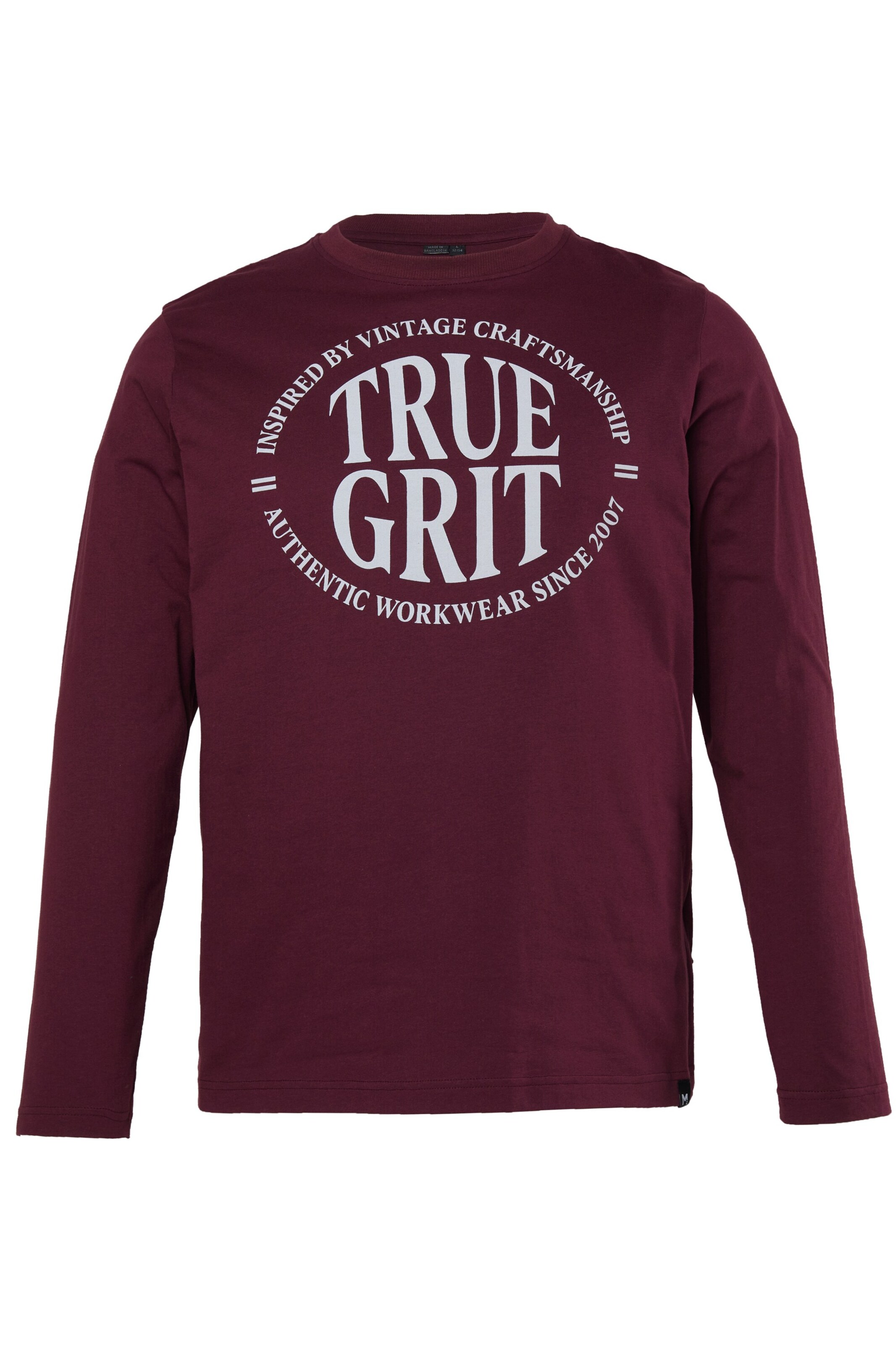 Men Plus Shirt in Purple: front