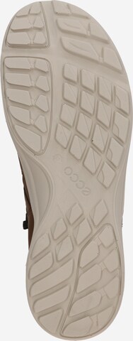 ECCO Athletic lace-up shoe 'Terracruise' in Brown