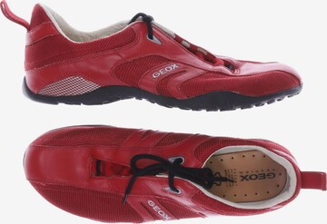 GEOX Halbschuh 40 in Rot: predná strana