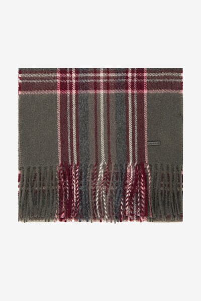 JOOP! Sjaal in de kleur Spar / Bourgogne / Wit, Productweergave