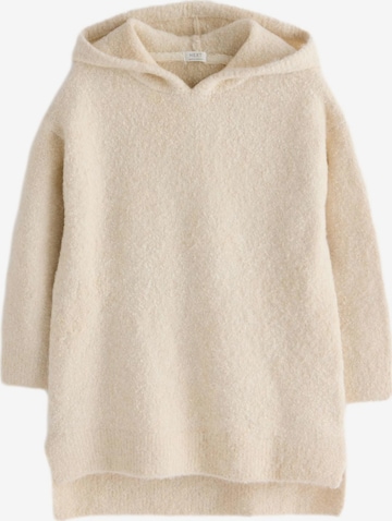 Pullover di Next in beige: frontale