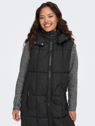 JDY Bodywarmer 'Daisy' in Zwart