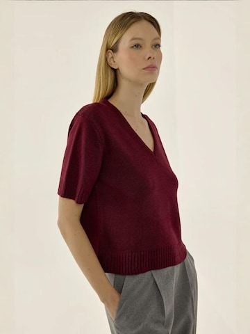 Pull-over 'Pullover' Hiccup en rouge