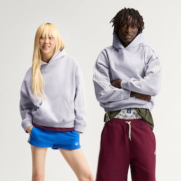 ADIDAS ORIGINALS Sweatshirt i grå: framsida
