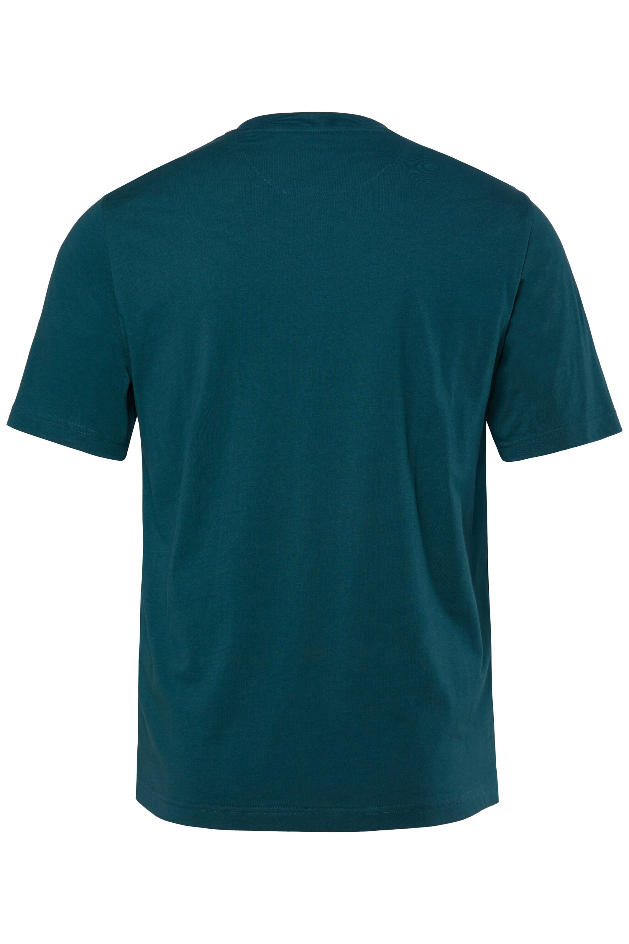 Men Plus Shirt in Green
