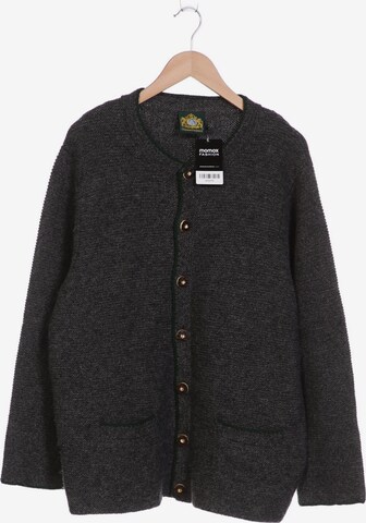 HAMMERSCHMID Sweater & Cardigan in XXL in Grey: front