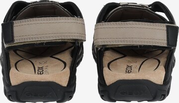 GEOX Sandalen in Beige