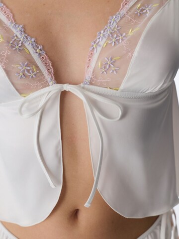 Bustino Reggiseno 'BHs & Bralettes' di Penti in marrone