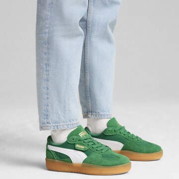 PUMA Platform trainers 'Palermo Moda' in Green: front