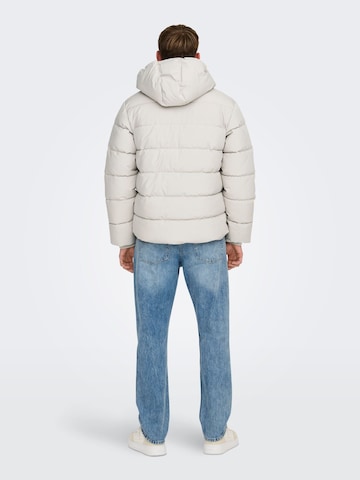 Only & Sons Winter jacket '22030170' in Beige