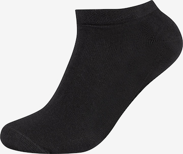 camano Socks in Black