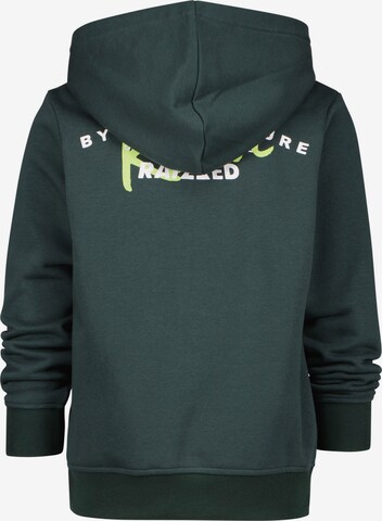 Raizzed Sweatshirt 'WALTER' in Green