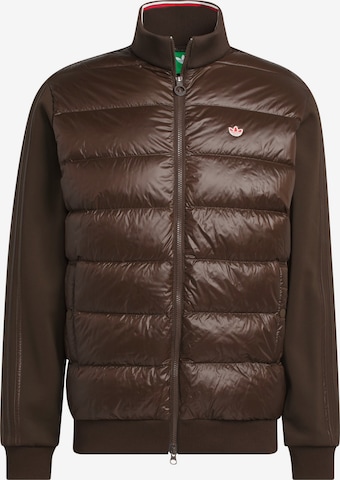 Veste outdoor 'Down' ADIDAS PERFORMANCE en marron : devant
