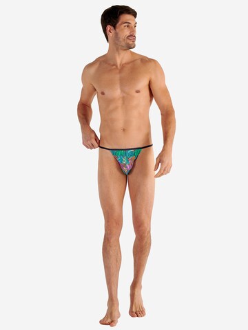 Slip ' Funky Styles ' HOM en bleu