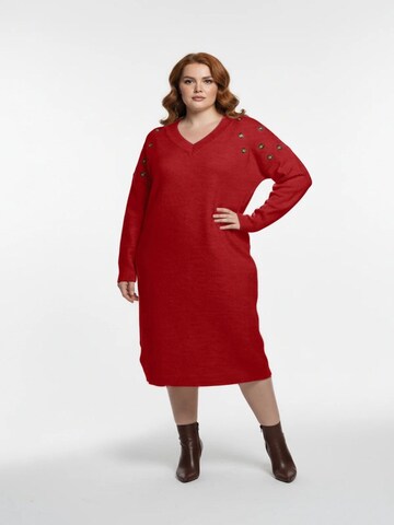 Shape Of You Kleid‌‌‌‌ in Rot