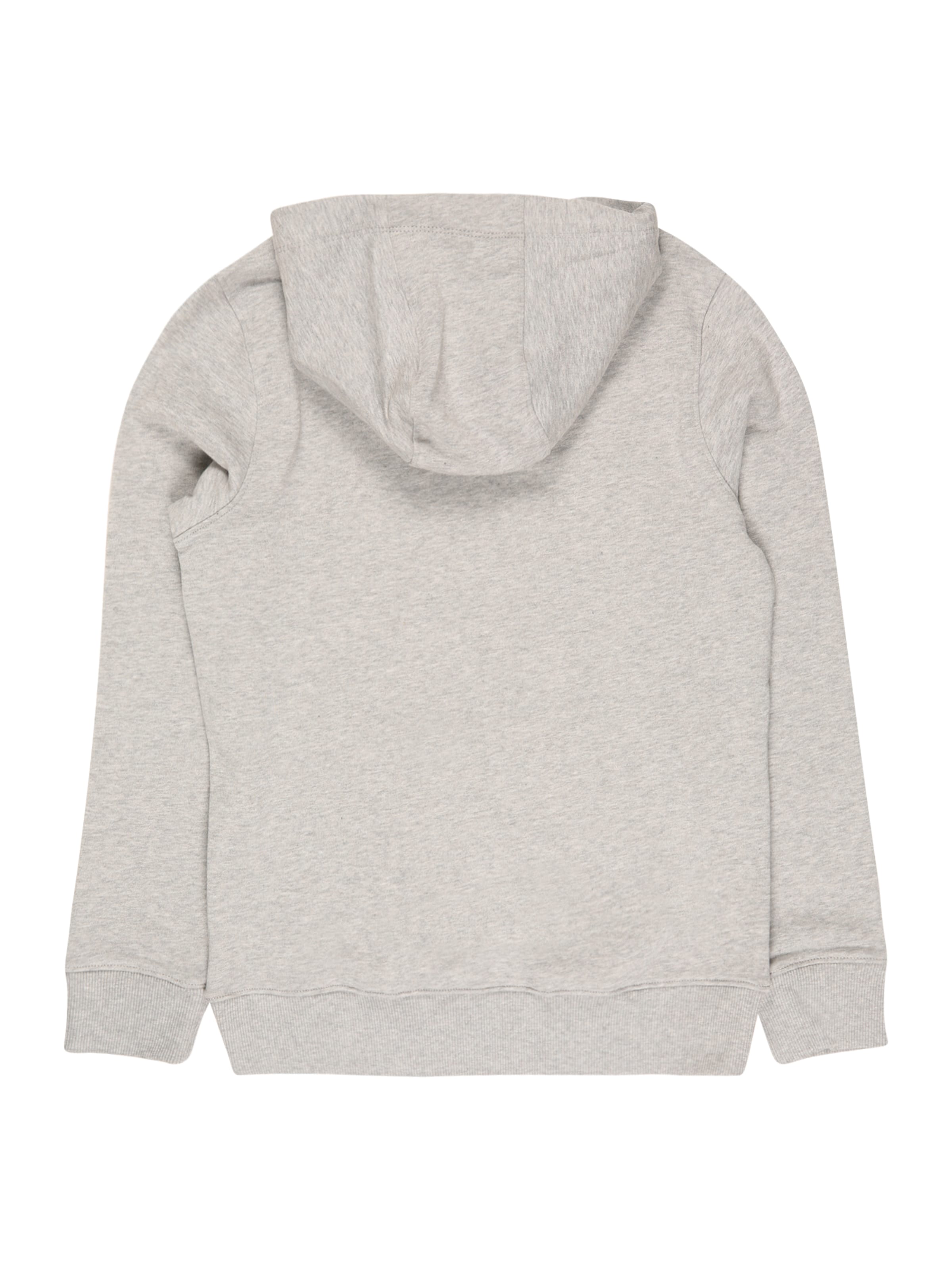 TOMMY HILFIGER Sweatshirt i grå