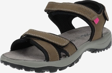 IMAC Hiking Sandals in Brown: front