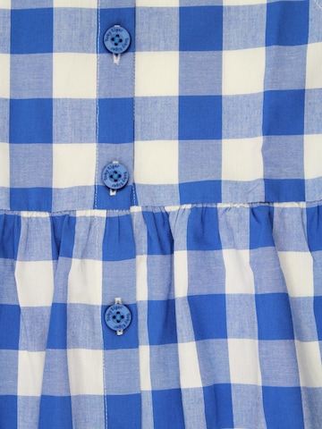 Toby Tiger Dress in Blue