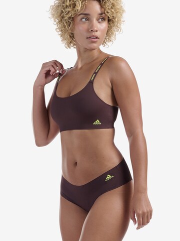 ADIDAS SPORTSWEAR Panty ' CHEEKY HIPSTER ' in Mischfarben