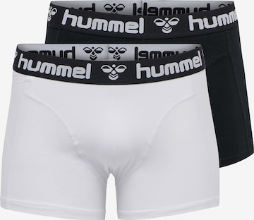 Hummel Boxer shorts in Black: front