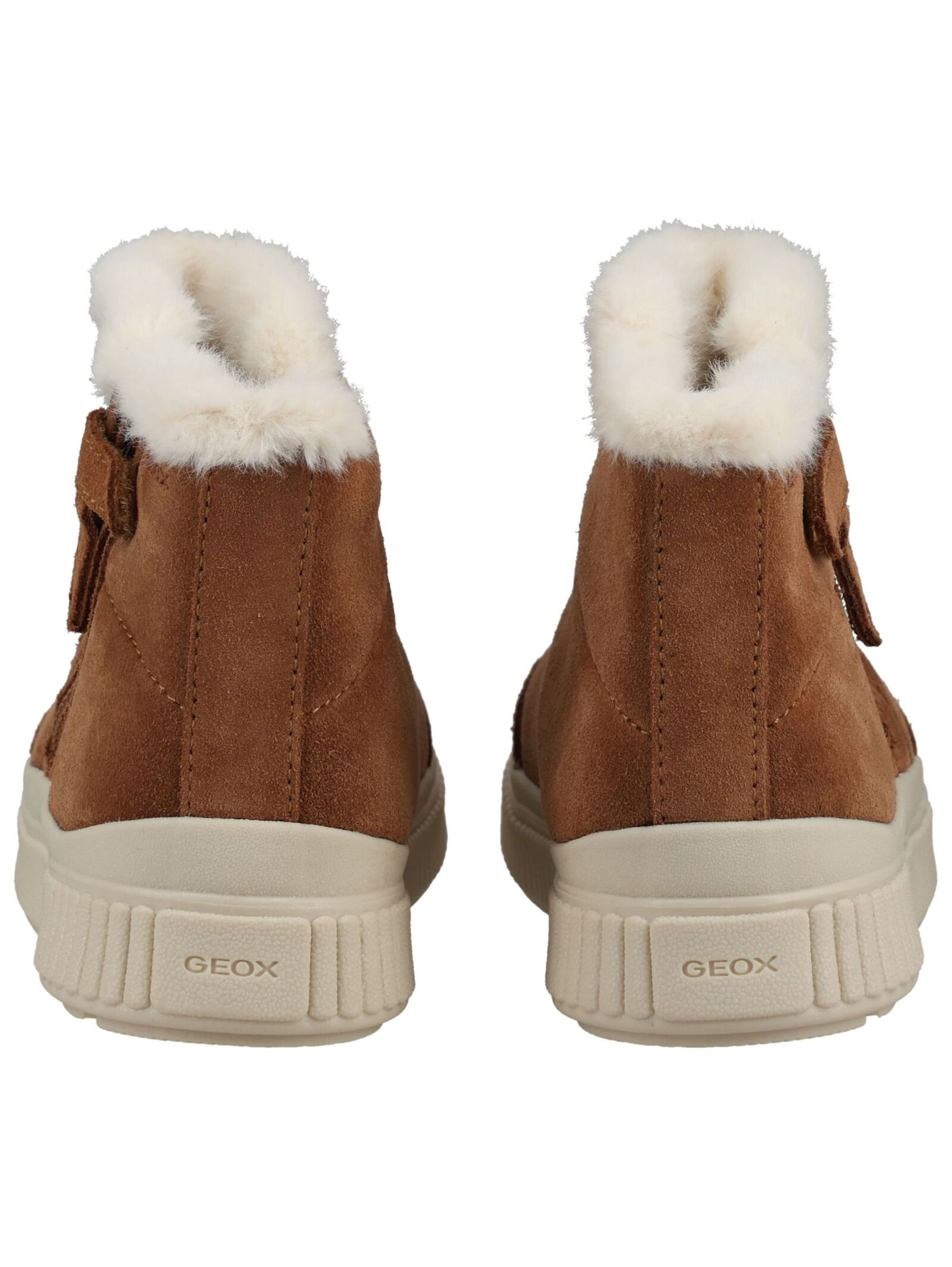 GEOX Boot in Brown: back
