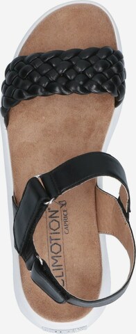 CAPRICE Strap Sandals in Black