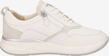 SIOUX Sneaker 'Segolia' in Weiß
