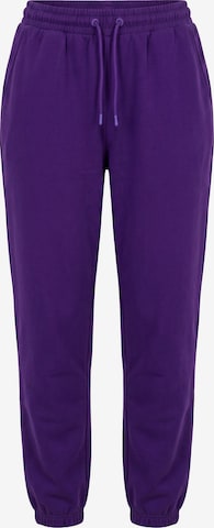 Ulla Popken Broek in Lila: voorkant