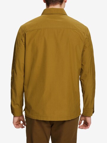 ESPRIT Regular fit Button Up Shirt in Yellow