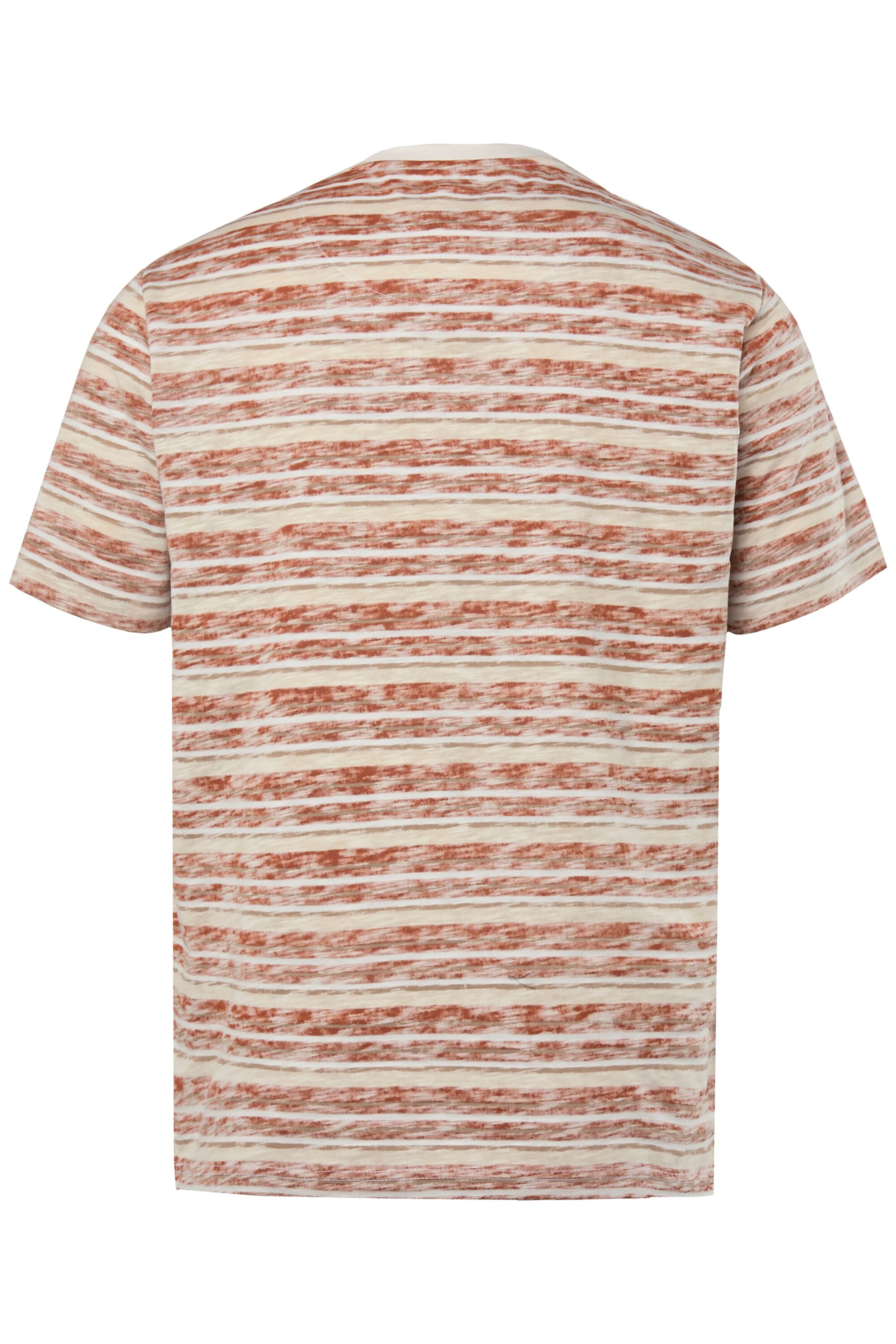 Boston Park Shirt in Brown