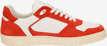 SIOUX Sneakers laag 'Tedroso-704' in Rood