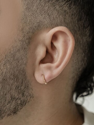 Dear Me Earring 'Glint Hoops' in Gold