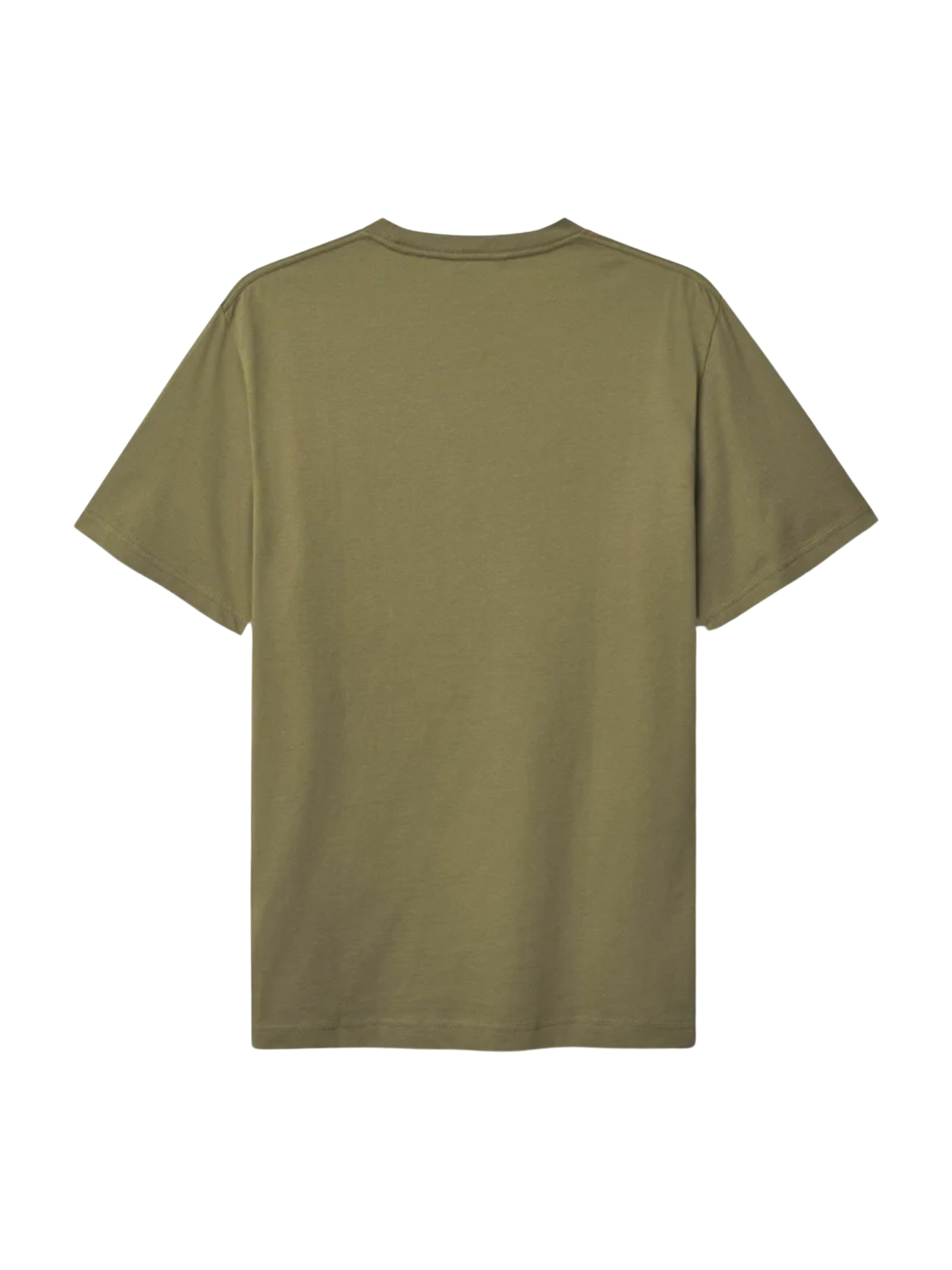 GABBA Regular Fit Skjorte 'Dune' i grøn