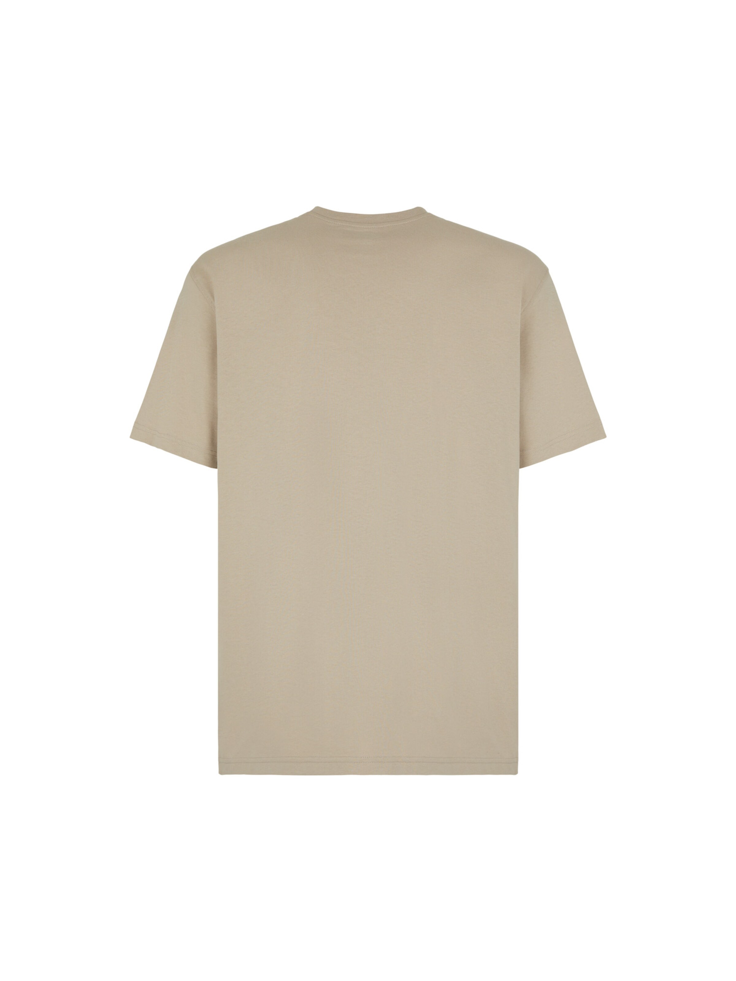 DICKIES T-Shirt 'Summerdale' in Beige