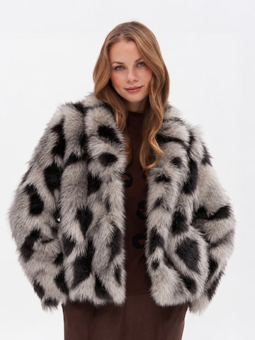 Passioni Winter Jacket in Grey: front