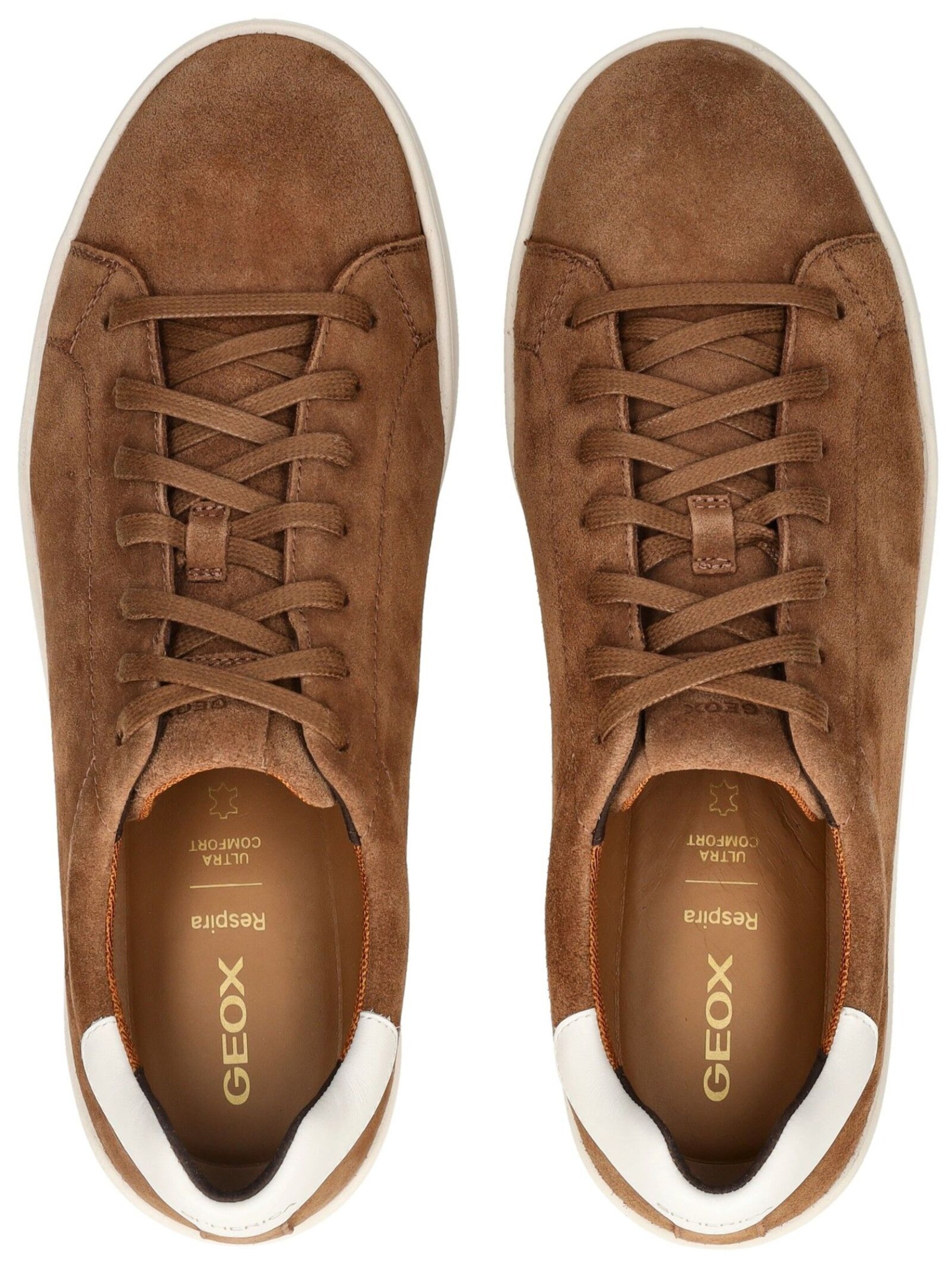 Sneaker bassa di GEOX in marrone