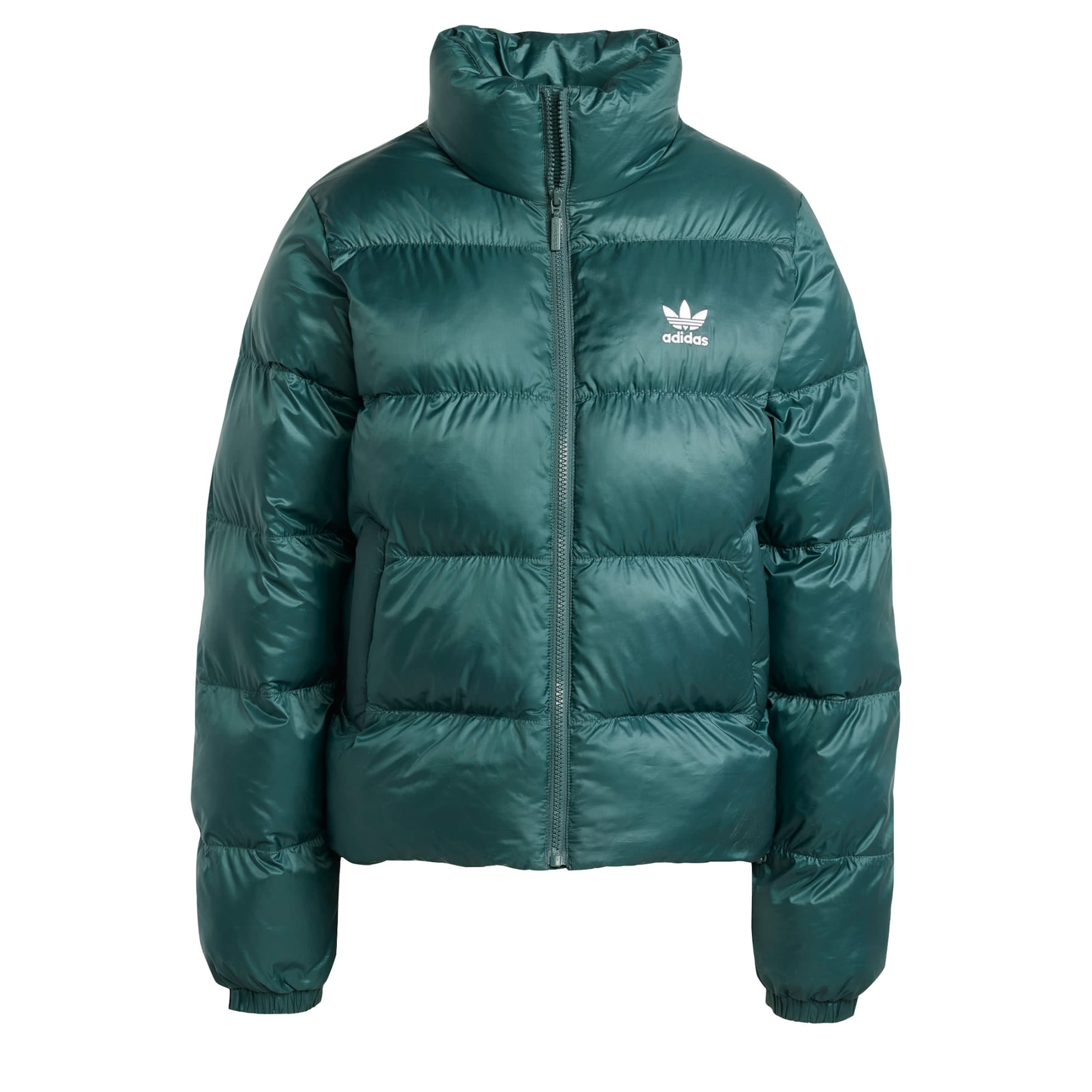 ADIDAS ORIGINALS Winterjas 'Adicolor' in Groen: voorkant