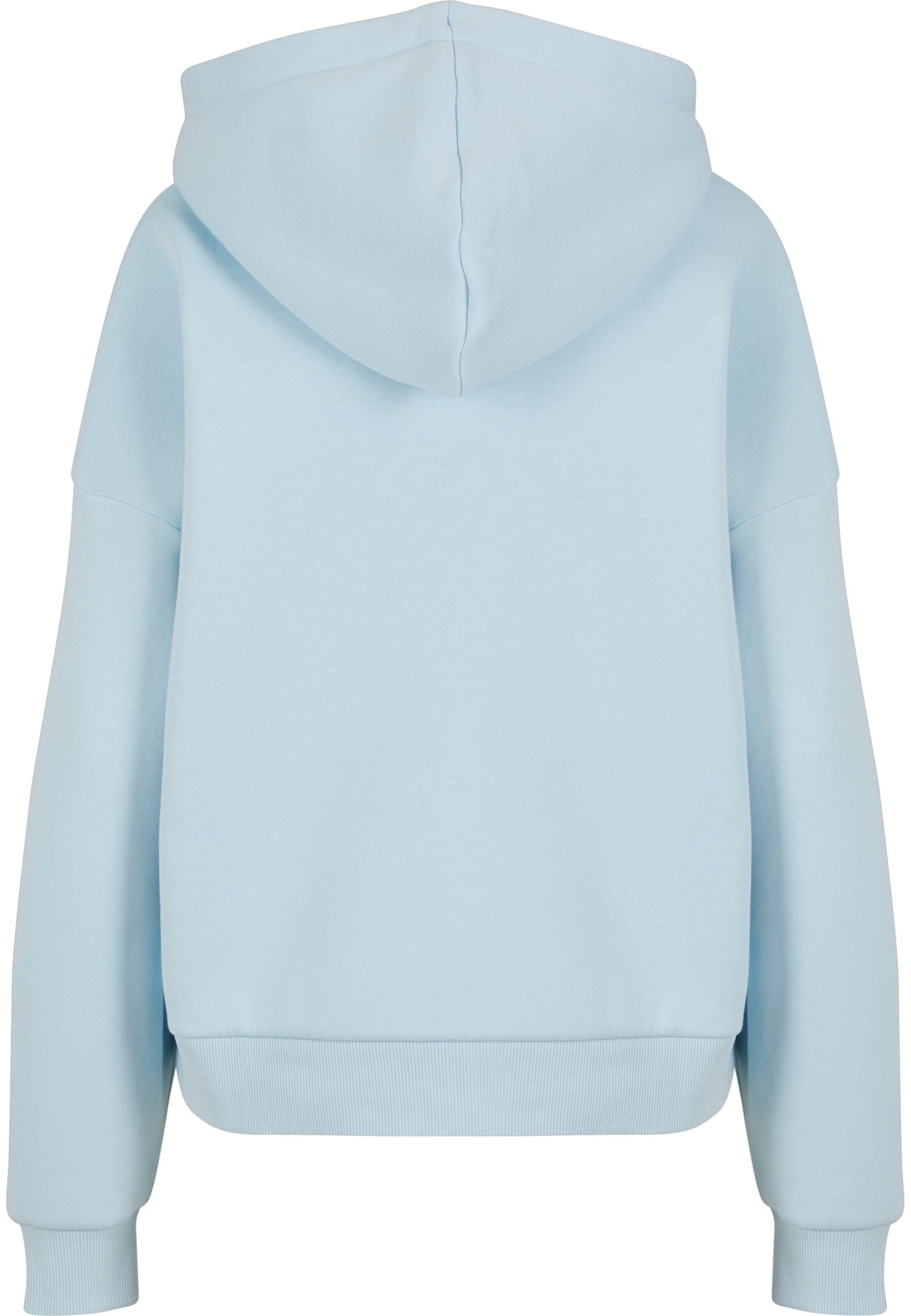 Karl Kani Sweatshirt in Blue