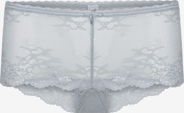 LingaDore Boyshorts in Grey: front