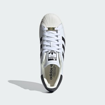 ADIDAS ORIGINALS Sneakers laag 'Superstar' in Wit