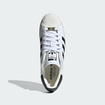 ADIDAS ORIGINALS Sneakers 'Superstar' in White